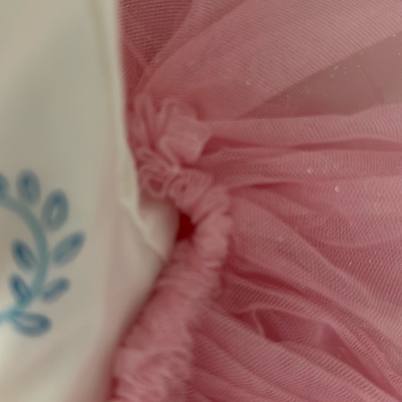 Disney Princess tutu Size 2 fancy Nancy - Picture 4 of 4